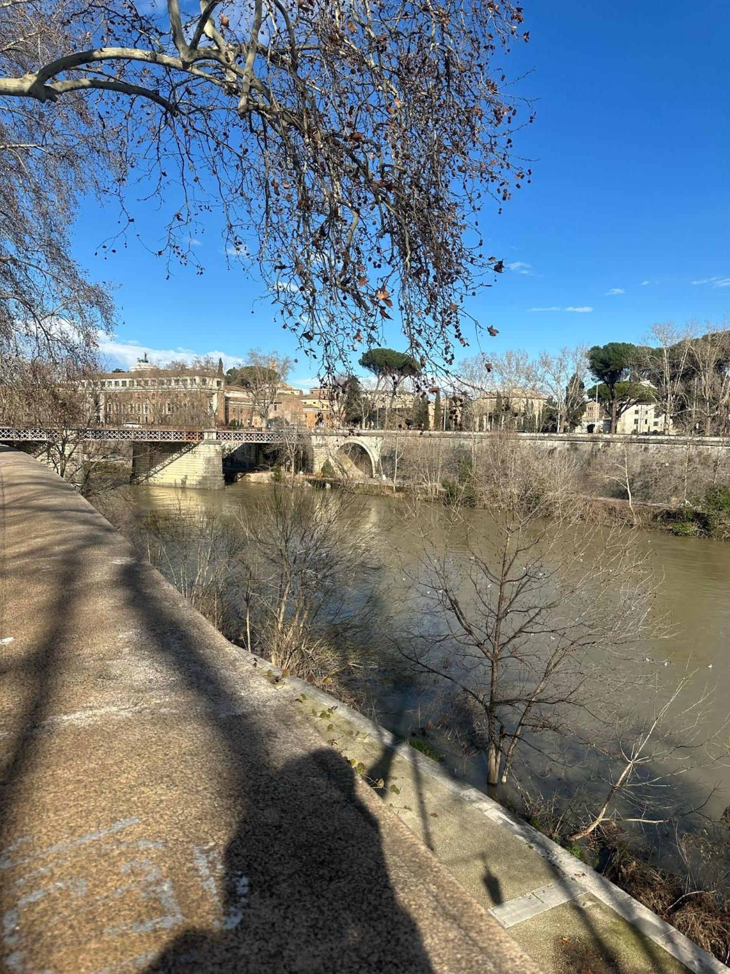 Trastevere Rome'S Heart Charming & Cozy Appartment 3 Luaran gambar