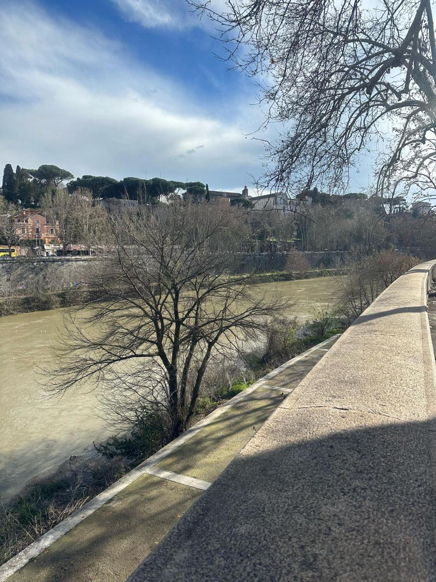 Trastevere Rome'S Heart Charming & Cozy Appartment 3 Luaran gambar